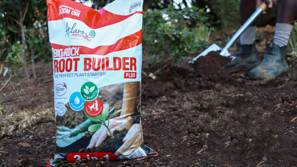 Organic fertilisers: Natural boost for better farming